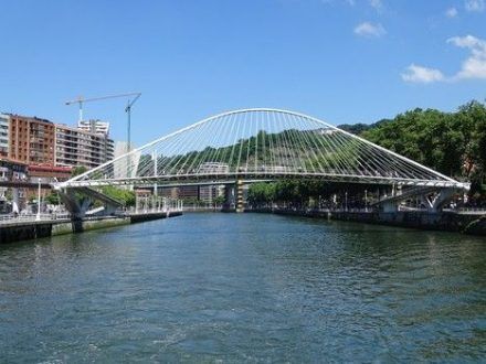 Puente zubizuri