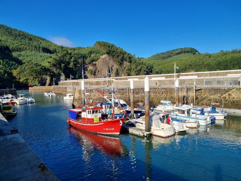 Puerto de armintza