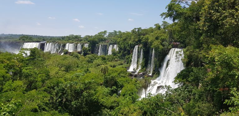 cataratas en la selva
