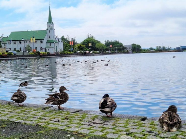 Lago Tjornin, Reikiavik