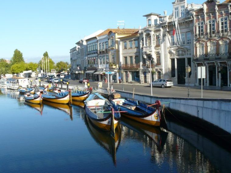 moliceiros de aveiro