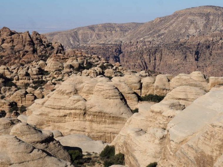 Reserva natural de Dana, Jordania