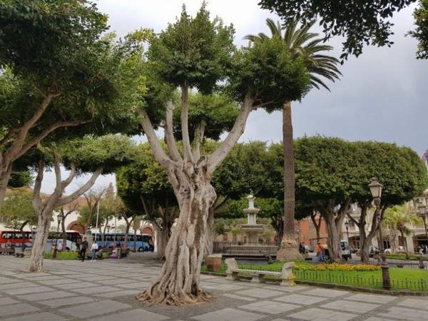 San Cristóbal de La Laguna