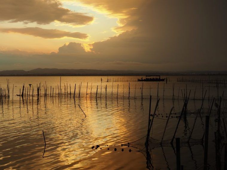 Atardecer en la albufera de valencia