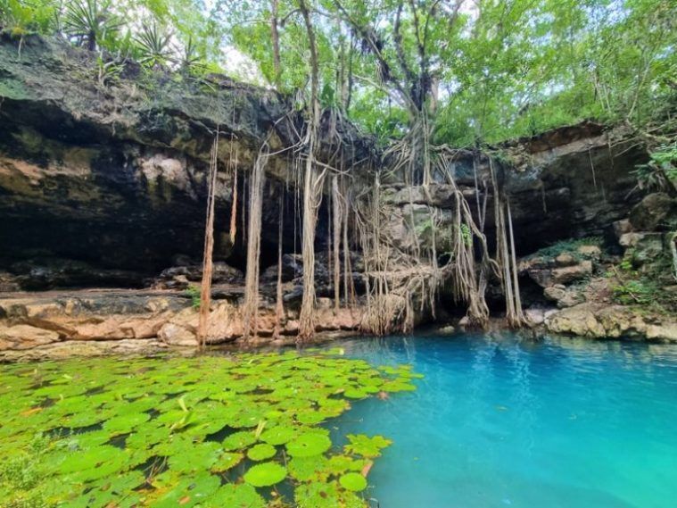 uno de los mejores cenotes de Yucatán